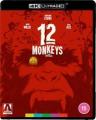 12 Monkeys 4K | Special Edition (Ultra HD)