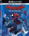 Spider-Man: Into the Spider-Verse 4K (Ultra HD + Blu-ray + Digital HD + UltraViolet)