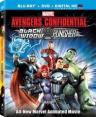 Avengers Confidential: Black Widow & Punisher (2 Disc Set)