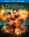 Fantastic Beasts: The Secrets of Dumbledore (Blu-ray + DVD)