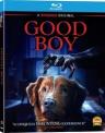 Good Boy 