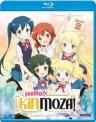 Hello!! Kinmoza!: Complete Collection (2 Disc set)